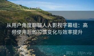 从用户角度聊聊人人影视字幕组：高频使用后的习惯变化与效率提升