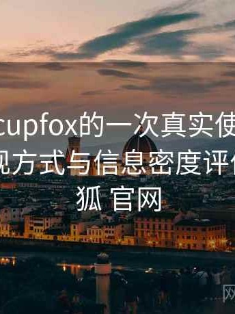 茶杯狐 cupfox的一次真实使用体验：内容呈现方式与信息密度评价，茶杯狐 官网