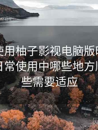 第一次使用柚子影视电脑版时的真实感受：日常使用中哪些地方顺手，哪些需要适应