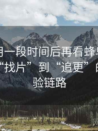 连续使用一段时间后再看蜂鸟影院下载：从“找片”到“追更”的完整体验链路