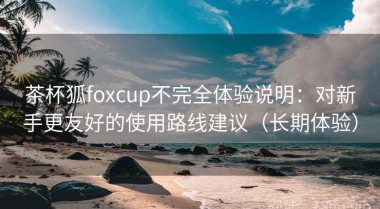 茶杯狐foxcup不完全体验说明：对新手更友好的使用路线建议（长期体验）