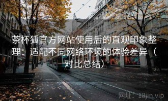 茶杯狐官方网站使用后的直观印象整理：适配不同网络环境的体验差异（对比总结）