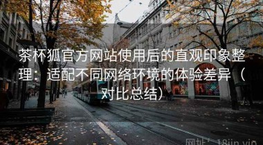 茶杯狐官方网站使用后的直观印象整理：适配不同网络环境的体验差异（对比总结）
