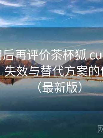 多次使用后再评价茶杯狐 cupfox：内容缺失、失效与替代方案的体验总结（最新版）