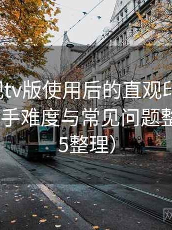 人人影视tv版使用后的直观印象整理：新用户上手难度与常见问题整理（2025整理）