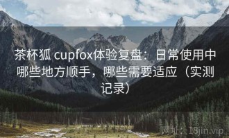 茶杯狐 cupfox体验复盘：日常使用中哪些地方顺手，哪些需要适应（实测记录）