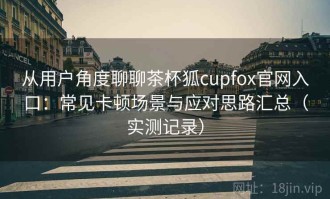从用户角度聊聊茶杯狐cupfox官网入口：常见卡顿场景与应对思路汇总（实测记录）