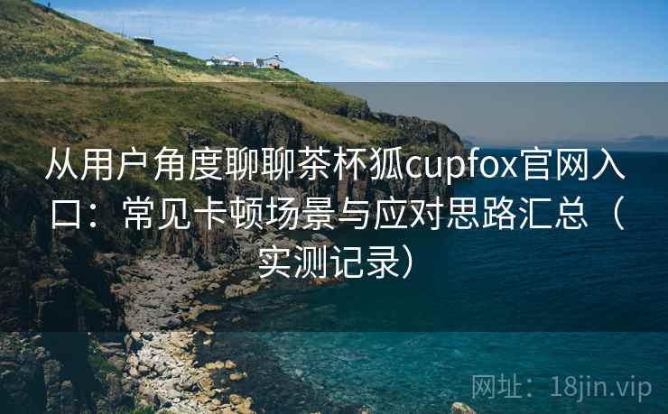 从用户角度聊聊茶杯狐cupfox官网入口：常见卡顿场景与应对思路汇总（实测记录）