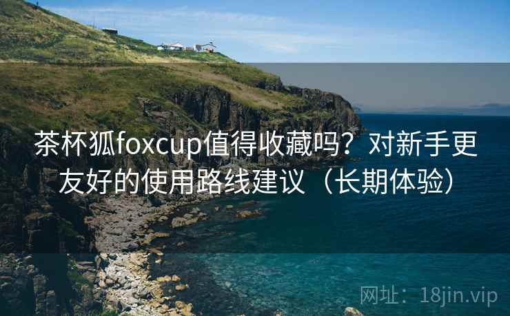 茶杯狐foxcup值得收藏吗？对新手更友好的使用路线建议（长期体验）
